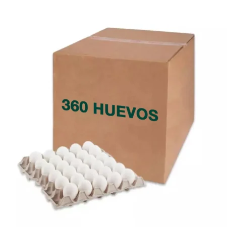 Caja de Huevo Grande