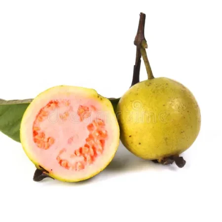 Guayaba por Kg