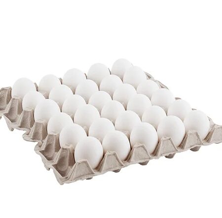 Tapa de huevo Grande