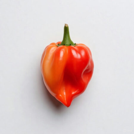 Chile habanero por Kg