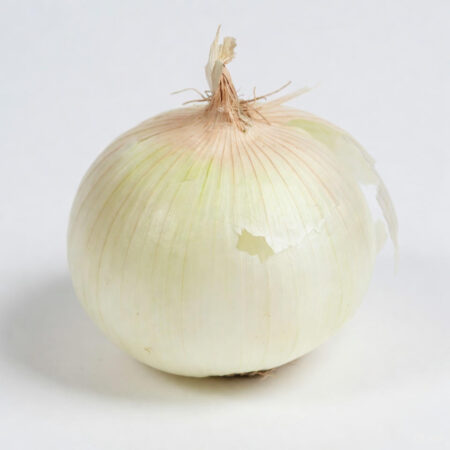 Cebolla blanca por Kg