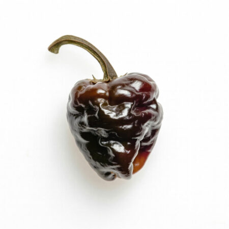 Chile cascabel por Kg