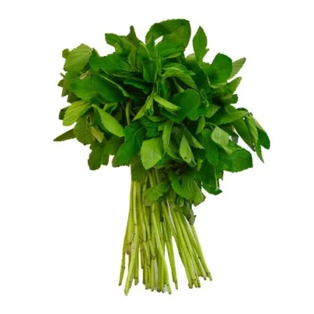 Hierbabuena (manojo)